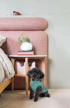 FuzzYard Life Corduroy Jacket - Myrtle Green