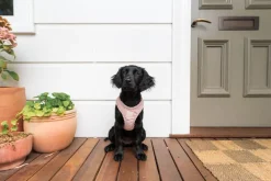 FuzzYard Life Corduroy Step In Harness - Soft Blush