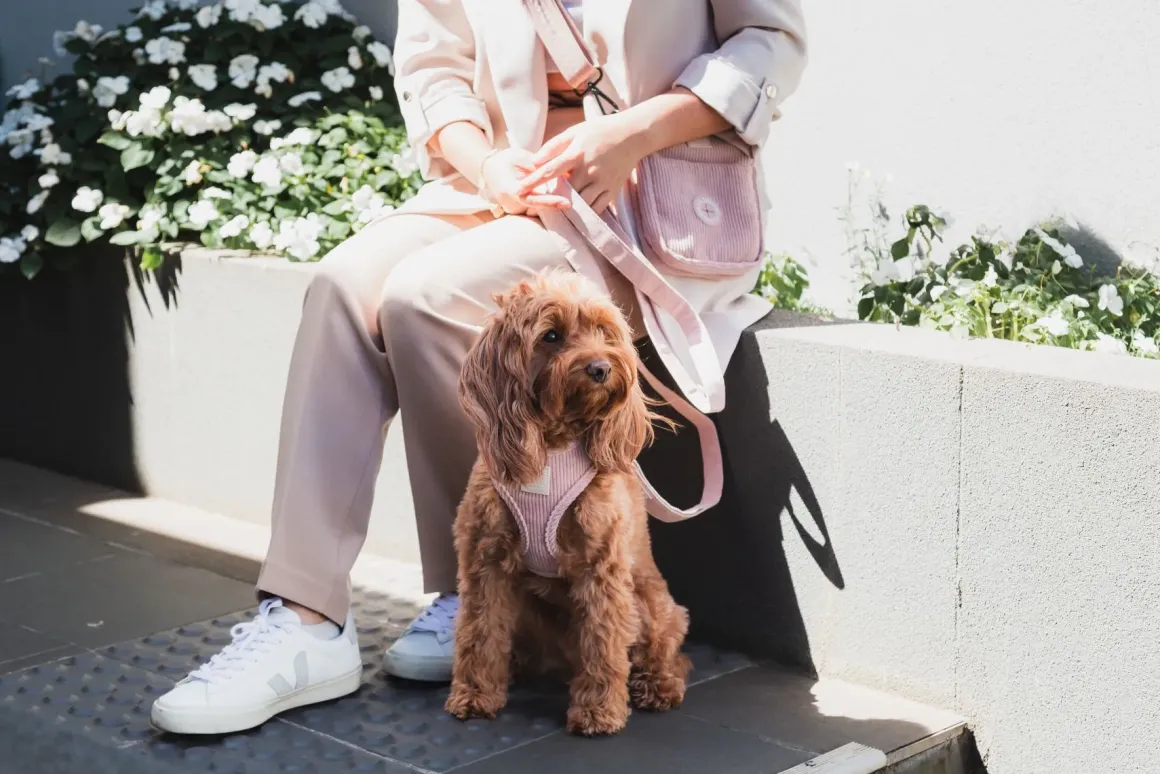 FuzzYard Life Cross Body Bag - Soft Blush