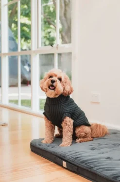 FuzzYard Life Knitted Sweater - Slate Grey