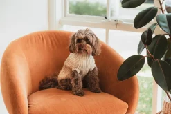 FuzzYard Life Knitted Sweater - Sandstone