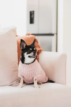 FuzzYard Life Knitted Sweater - Soft Blush