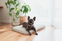 FuzzYard Life Lounge Mat - Sandstone