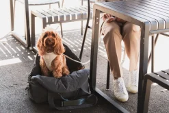 FuzzYard Life Multipurpose Carrier & Car Seat - Slate Grey