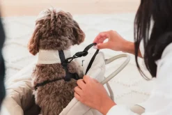 FuzzYard Life Multipurpose Carrier & Car Seat - Slate Grey