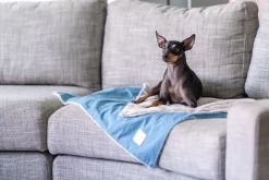 FuzzYard Life Pet Blanket - French Blue