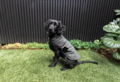 FuzzYard Life Quilted Cotton Wrap Vest - Slate Grey