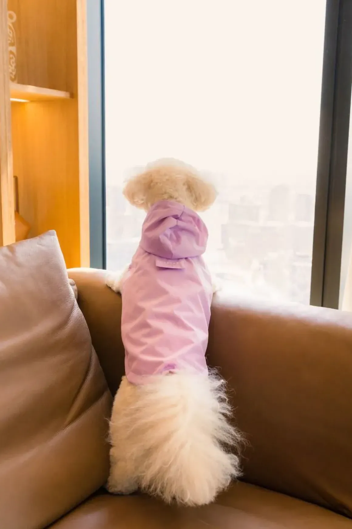 FuzzYard Life Raincoat - Lilac