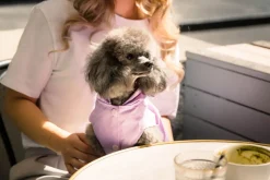 FuzzYard Life Raincoat - Lilac