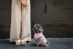 FuzzYard Life Raincoat - Lilac