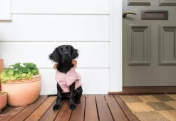 FuzzYard Life Raincoat - Soft Blush