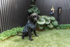 FuzzYard Life Raincoat - Slate Grey