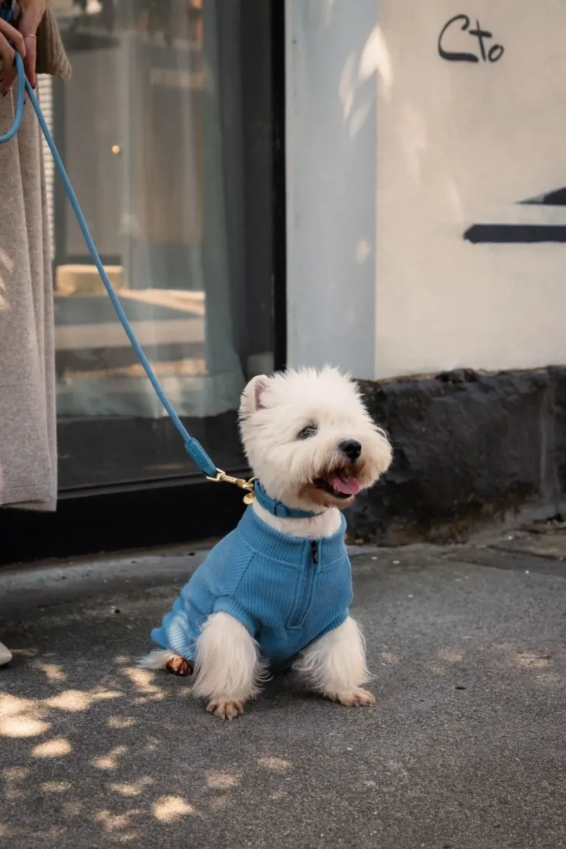 FuzzYard Life Ribbed Sweater - French Blue