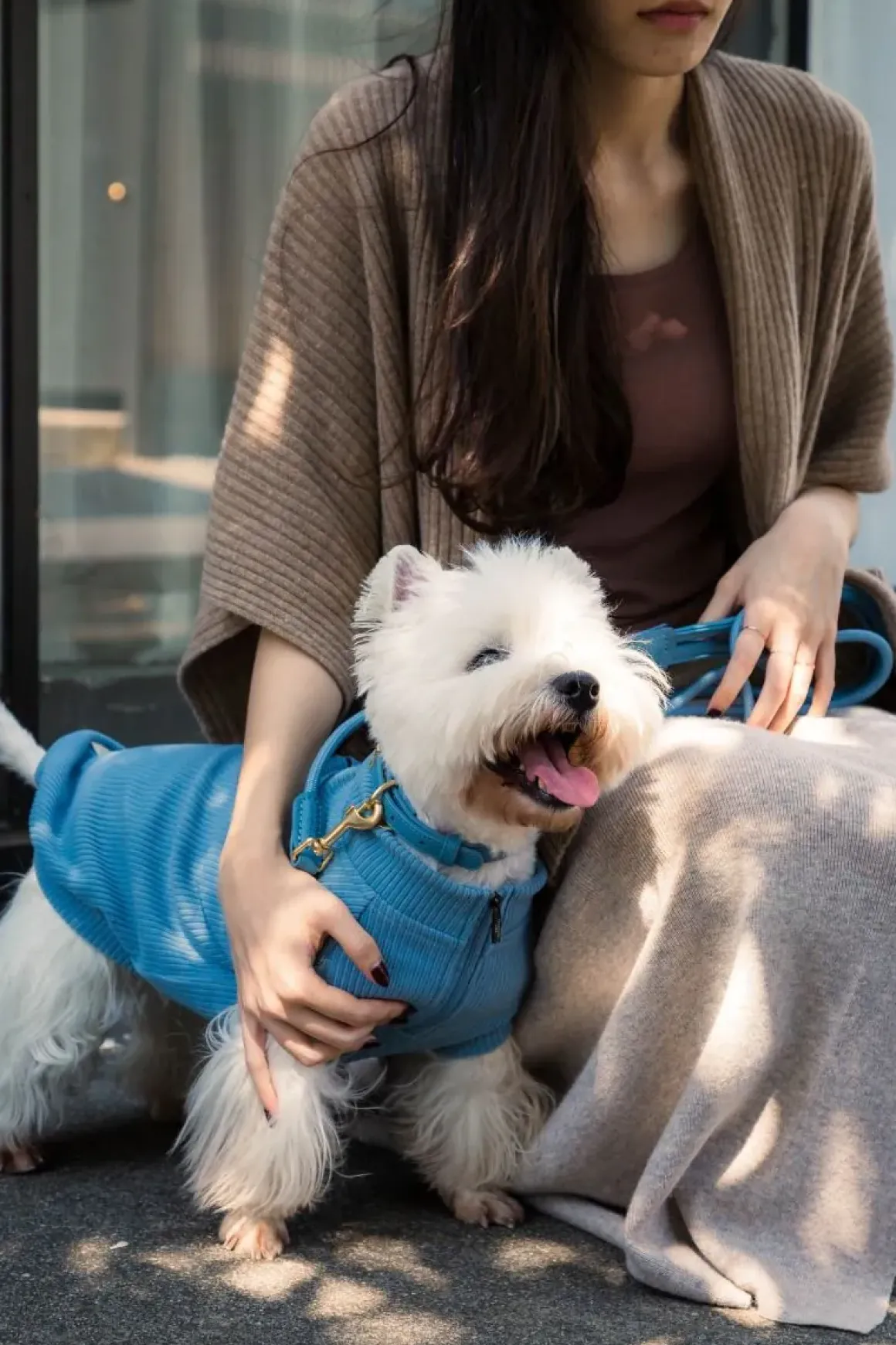 FuzzYard Life Ribbed Sweater - French Blue