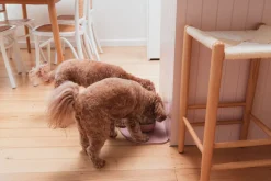 FuzzYard Life Silicone Feeding Mat - Soft Blush