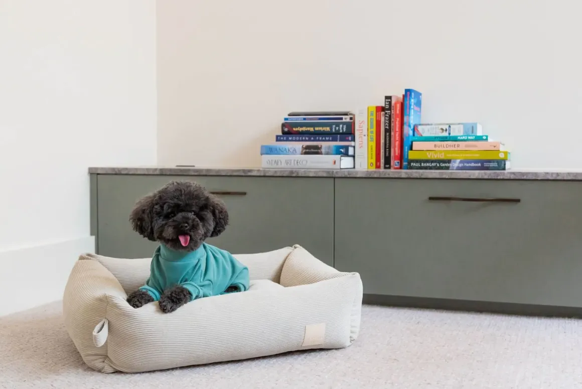 FuzzYard Life Soft Touch Pajamas - Myrtle Green