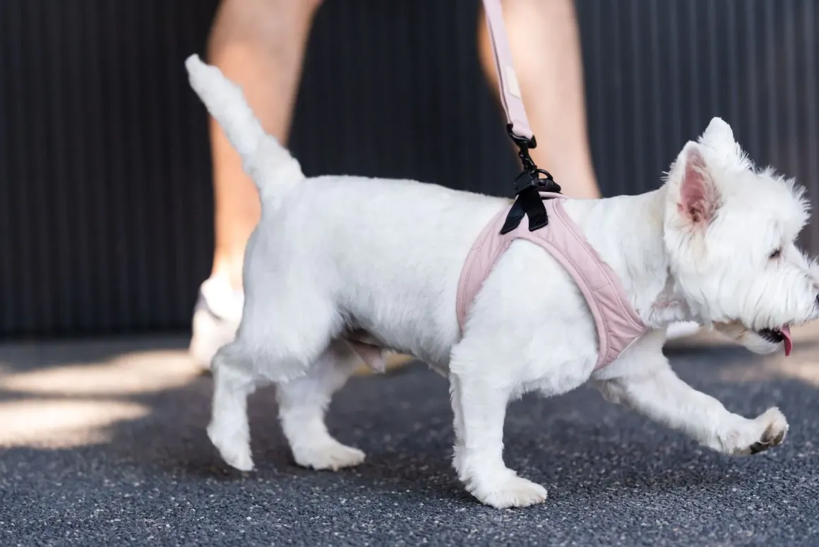 FuzzYard Life Step In Harness - Soft Blush