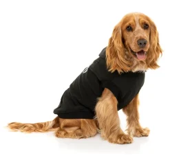 FuzzYard State Hoodie Black