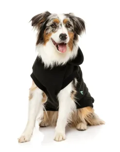 FuzzYard State Hoodie Black