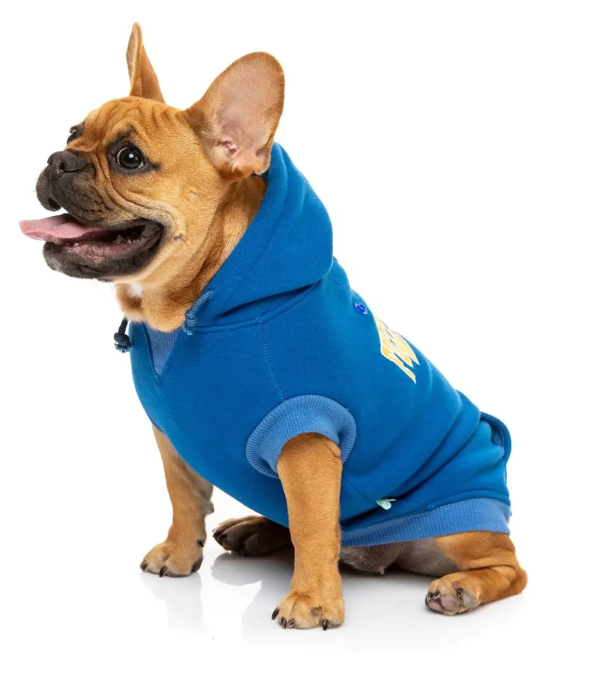 FuzzYard State Hoodie Blue