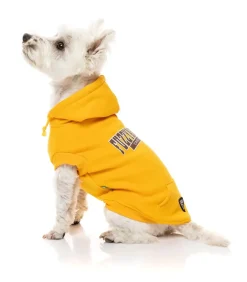 FuzzYard State Hoodie Yellow
