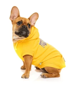 FuzzYard State Hoodie Yellow