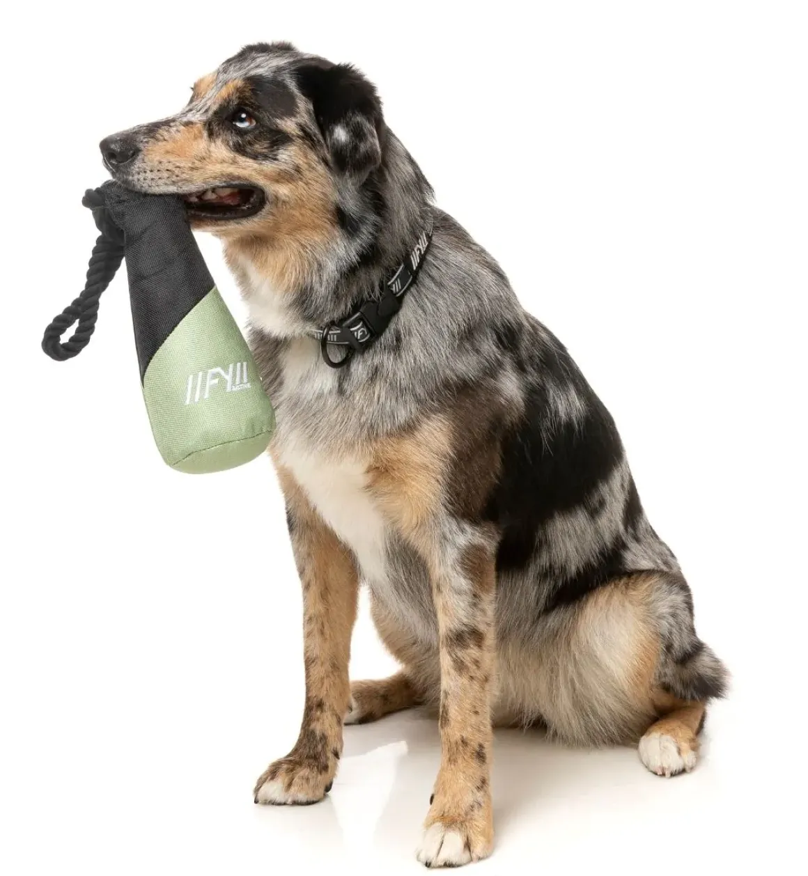 FY Active Fetch N Float Dog Toy - Khaki