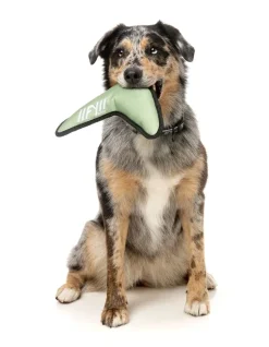 FY Active Flyer Dog Toy - Khaki