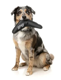 FY Active Flyer Dog Toy - Black