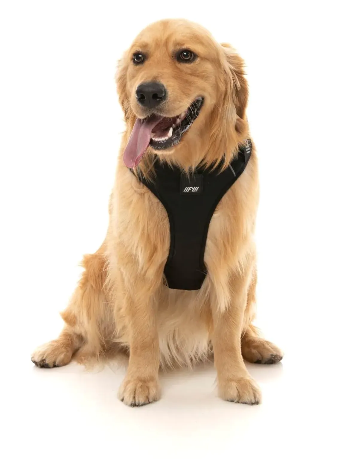 FY Active Go Harness - Black