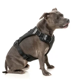 FY Active Go Harness - Black