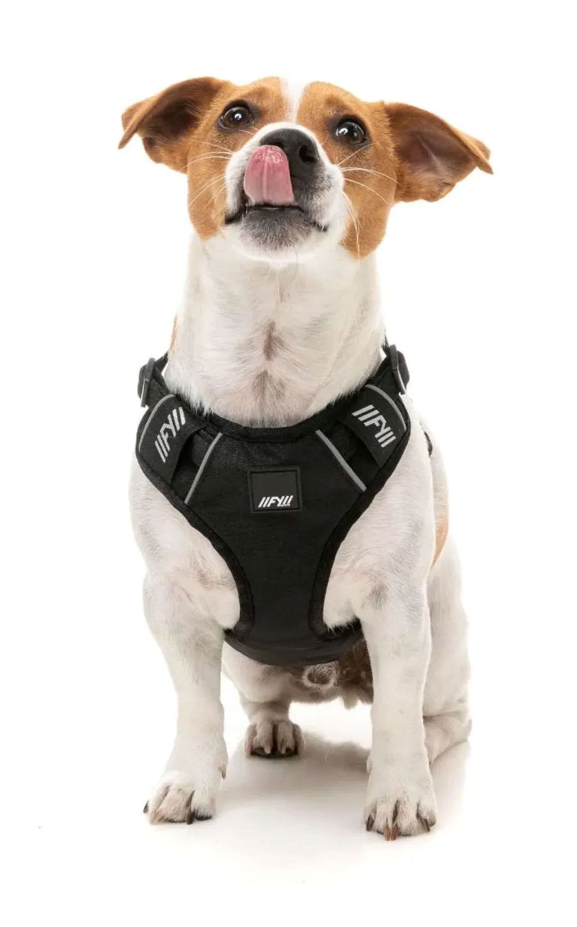 FY Active Go Harness - Black