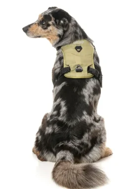 FY Active Go Harness - Khaki