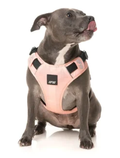 FY Active Go Harness - Peach