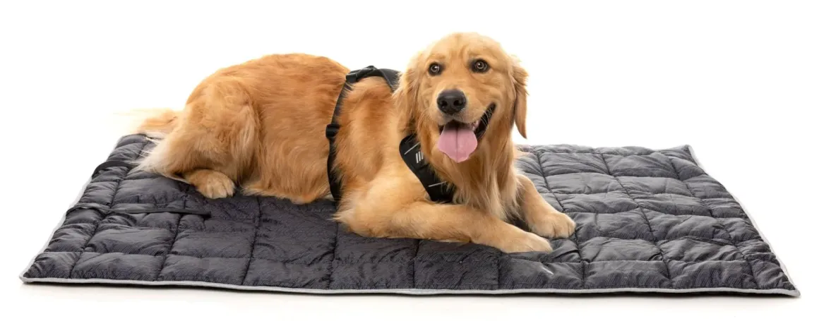 FY Active Roll-Up Travel Mat