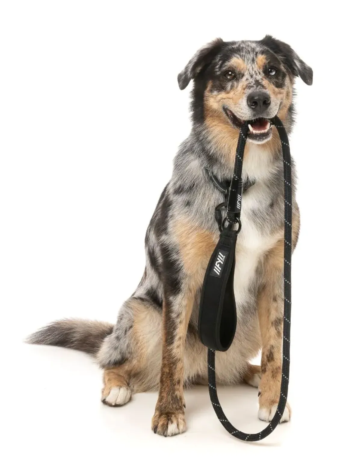 FY Active Rope Lead - Black