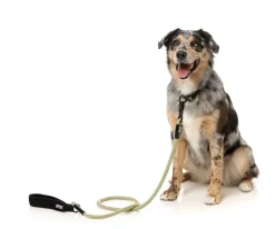 FY Active Rope Lead - Khaki