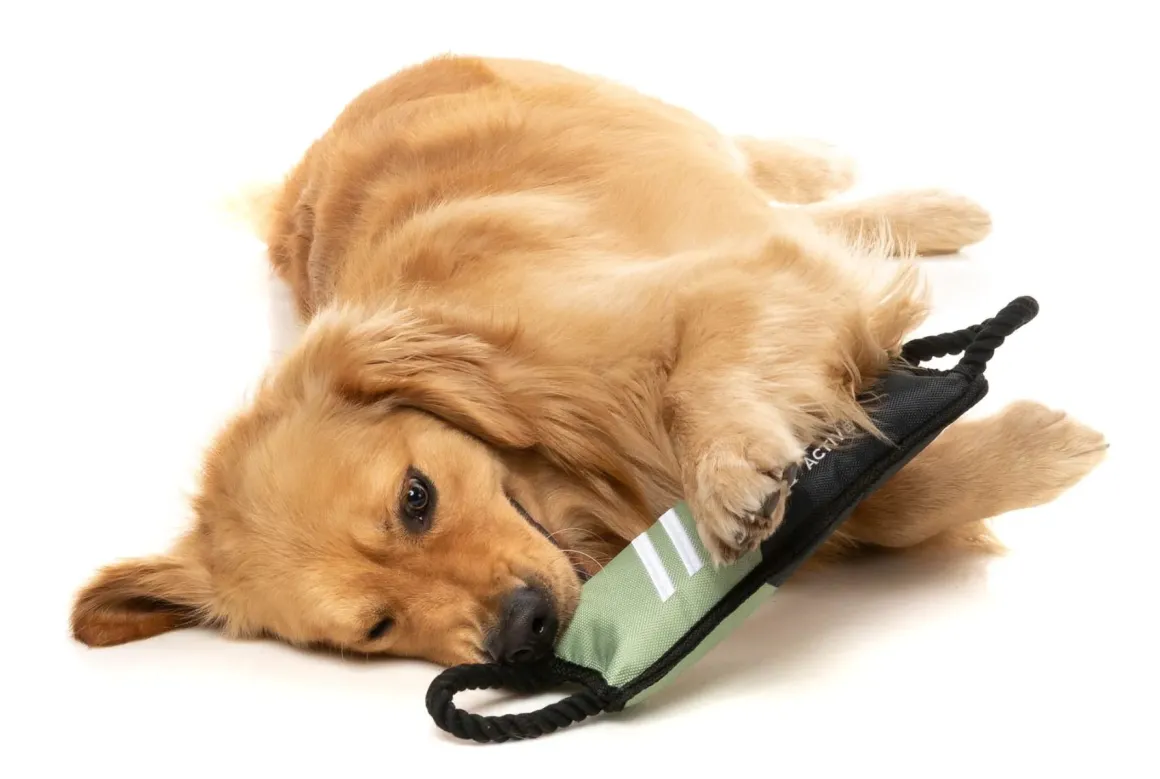 FY Active Rope Tug Dog Toy - Khaki