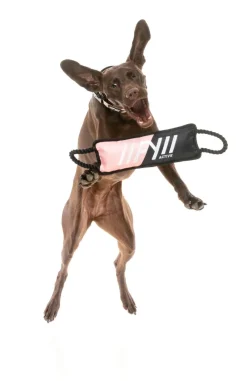 FY Active Rope Tug Dog Toy - Peach