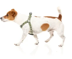 FY Active Strap Harness - Khaki