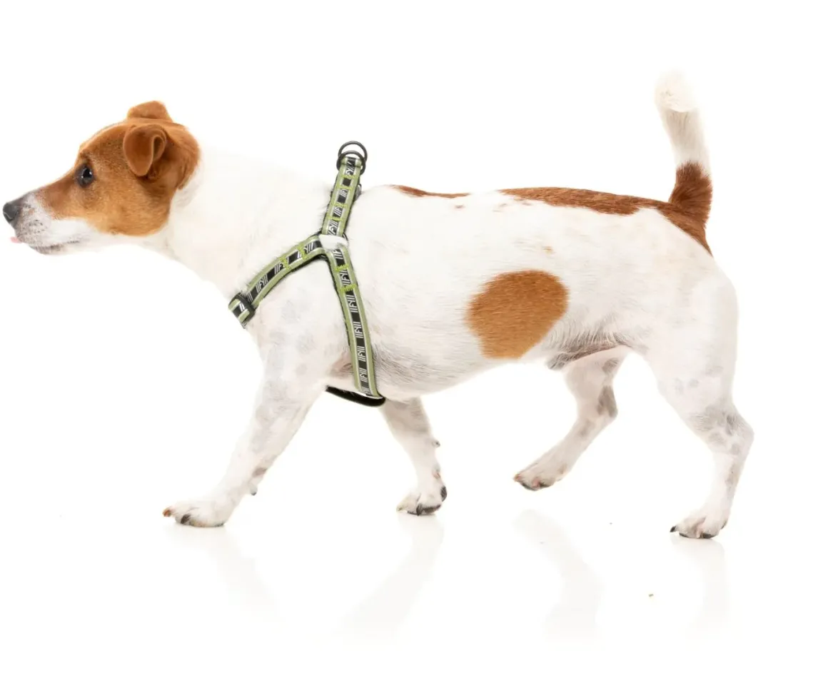 FY Active Strap Harness - Khaki