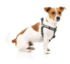 FY Active Strap Harness - Black