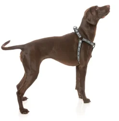 FY Active Strap Harness - Black