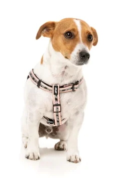 FY Active Strap Harness - Peach