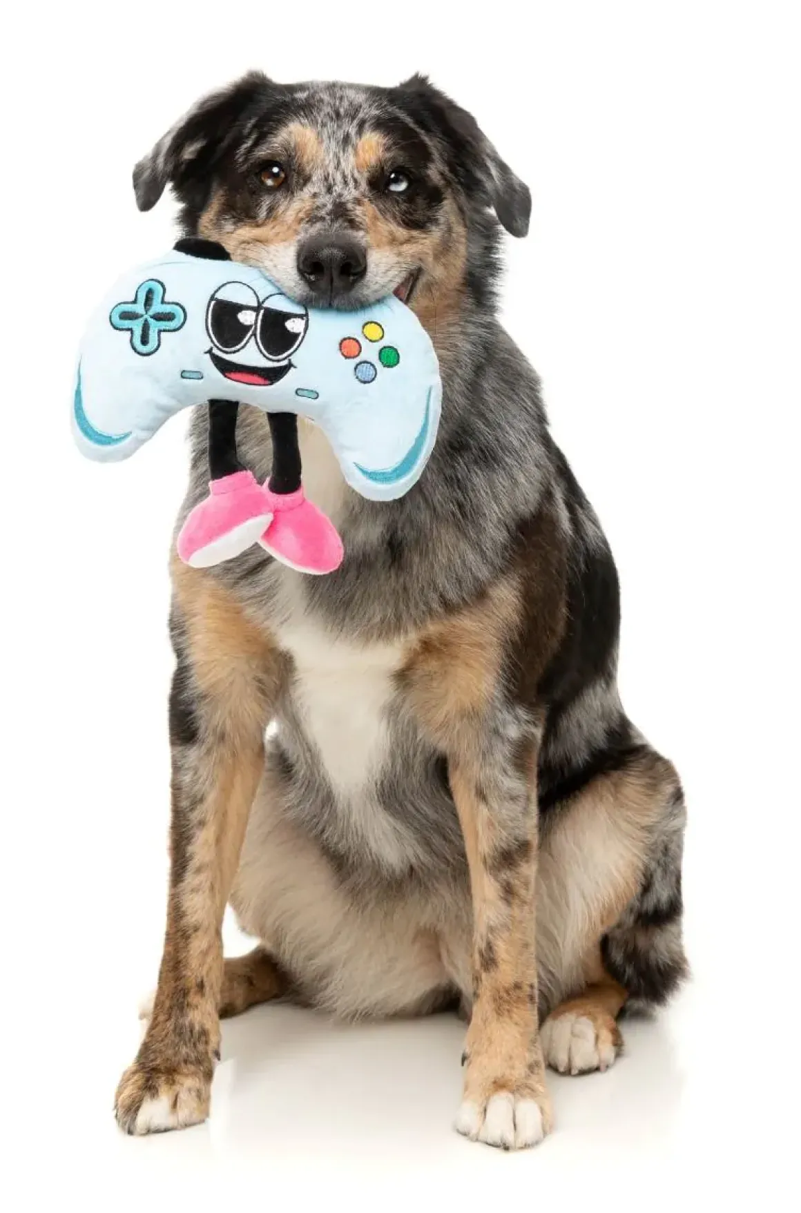 Gamezy - The Homies - Dog Toy