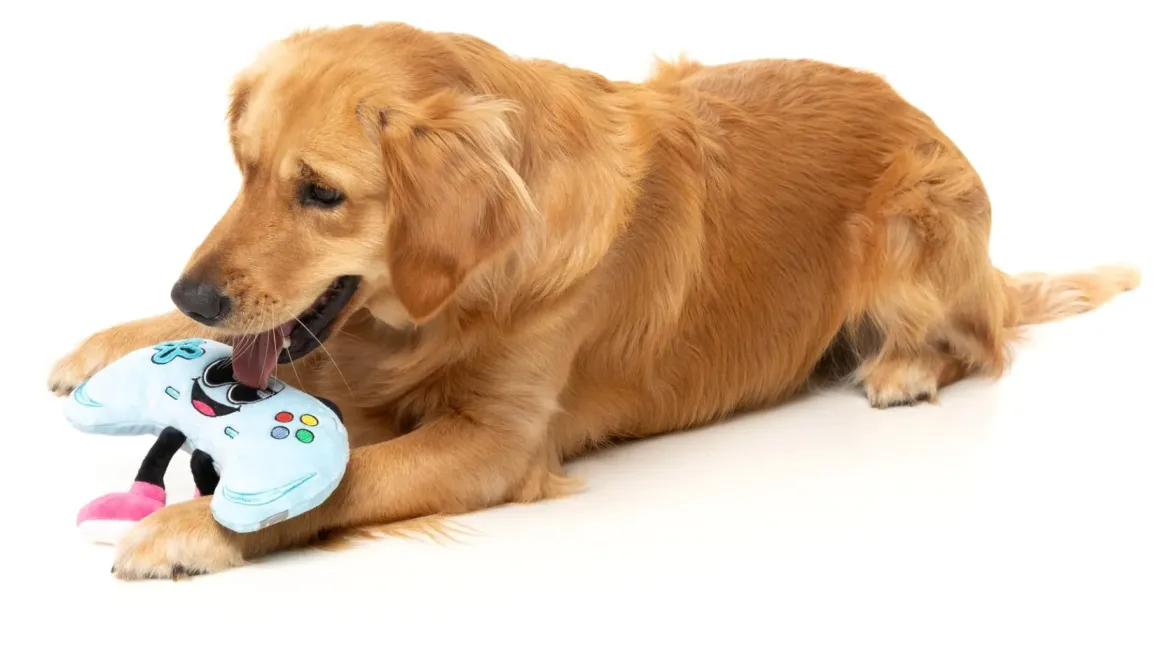 Gamezy - The Homies - Dog Toy