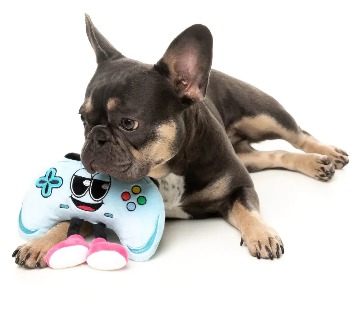 Gamezy - The Homies - Dog Toy