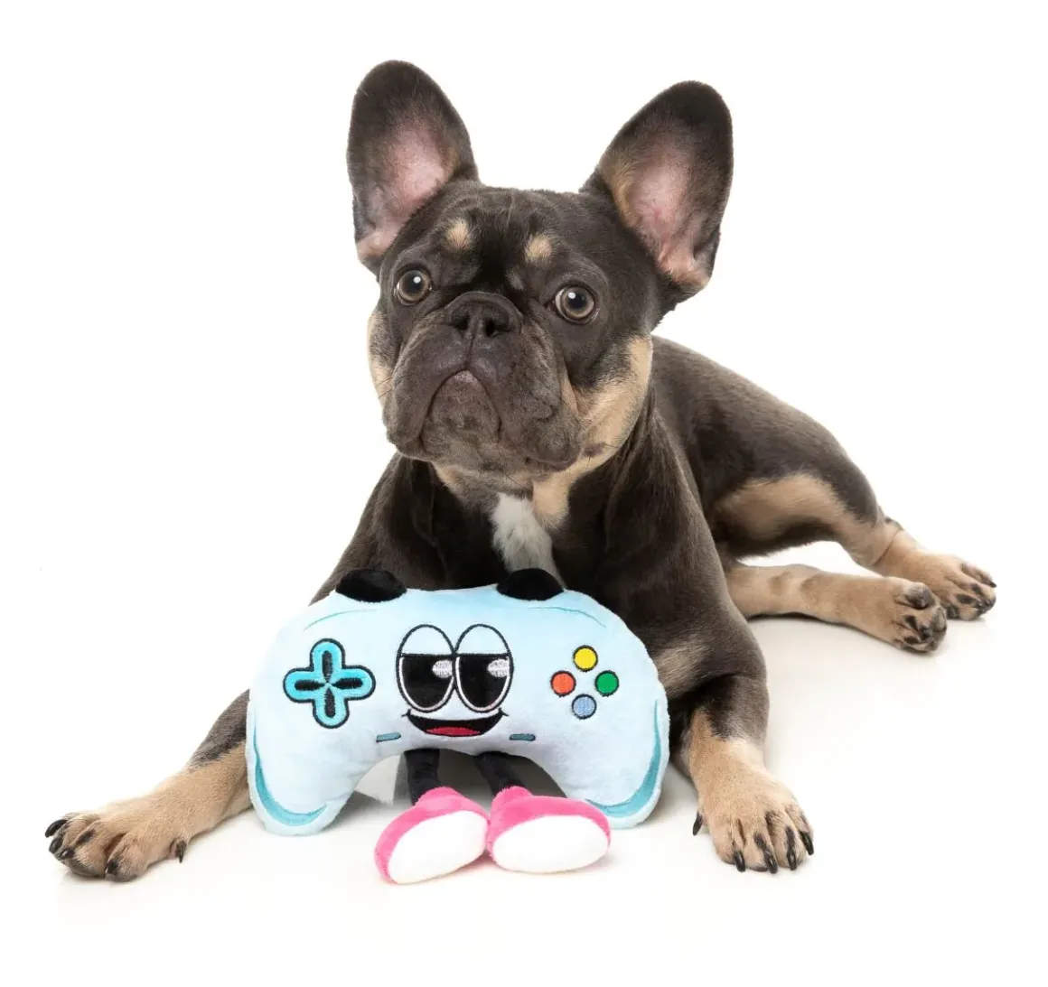 Gamezy - The Homies - Dog Toy