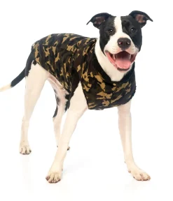 G.I Dog Jacket