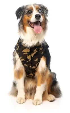 G.I Dog Jacket